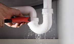 شركة كشف تسربات ببيشة